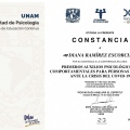 Ampliar imagen: certificate 5