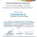 Ampliar imagen: certificate 4