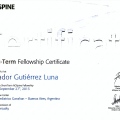 Ampliar imagen: certificate 1