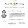 Ampliar imagen: certificate 3