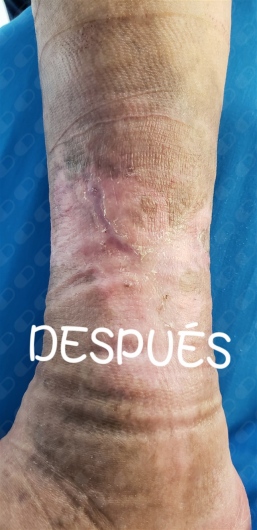 Sergio Alejandro Navarrete Guízar-8