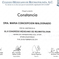 Ampliar imagen: certificate 17