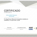 Ampliar imagen: certificate 15