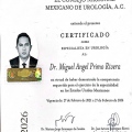 Ampliar imagen: certificate 1