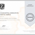 Ampliar imagen: certificate 3