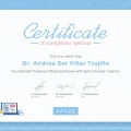 Ampliar imagen: certificate 12