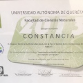 Ampliar imagen: certificate 11
