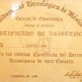 Ampliar imagen: certificate 26