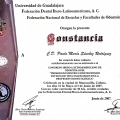 Ampliar imagen: certificate 23