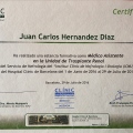 Ampliar imagen: certificate 8