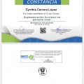 Ampliar imagen: certificate 12