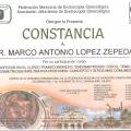 Ampliar imagen: certificate 120