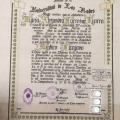 Ampliar imagen: certificate 5