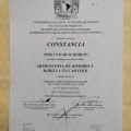 Ampliar imagen: certificate 9