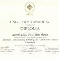 Ampliar imagen: certificate 4