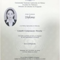 Ampliar imagen: certificate 5