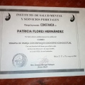 Ampliar imagen: certificate 15