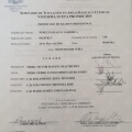 Ampliar imagen: certificate 7