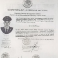 Ampliar imagen: certificate 8