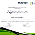 Ampliar imagen: certificate 4