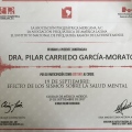 Ampliar imagen: certificate 28