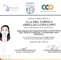Ampliar imagen: certificate 3
