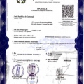 Ampliar imagen: certificate 5