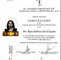Ampliar imagen: certificate 2