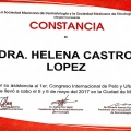 Ampliar imagen: certificate 13