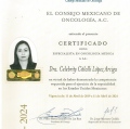 Ampliar imagen: certificate 5
