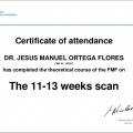 Ampliar imagen: certificate 13