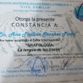 Ampliar imagen: certificate 11