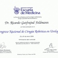 Ampliar imagen: certificate 43