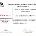 Ampliar imagen: certificate 9