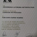 Ampliar imagen: certificate 13