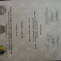 Ampliar imagen: certificate 37