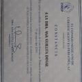 Ampliar imagen: certificate 6