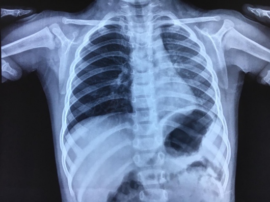 Carlos Alejandro De Alba De Lira-6