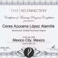 Ampliar imagen: certificate 2