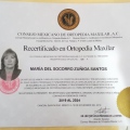 Ampliar imagen: certificate 6