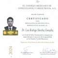 Ampliar imagen: certificate 5