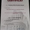 Ampliar imagen: certificate 27