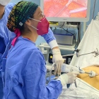 Dra. Maribel Ortega Ortega