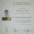 Ampliar imagen: certificate 12