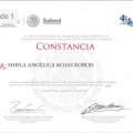 Ampliar imagen: certificate 2