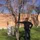 Raul Lara Barrón