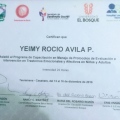Ampliar imagen: certificate 16