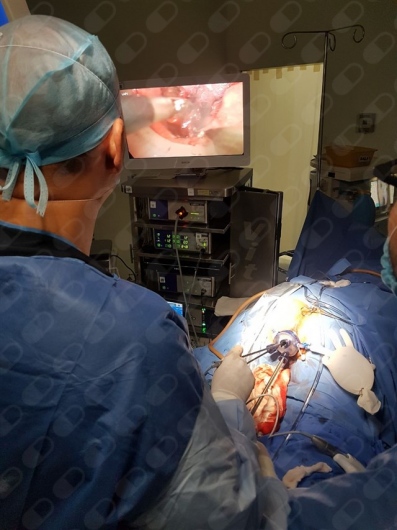 Héctor Norman Solares Sánchez-9