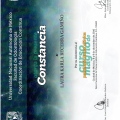 Ampliar imagen: certificate 7