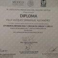 Ampliar imagen: certificate 3